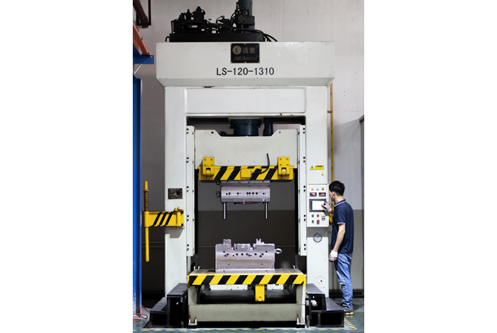 Plant 2-precision mold