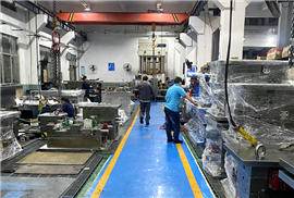 Plant 1-large mold