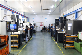 Plant 2-precision mold