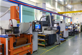 Plant 2-precision mold
